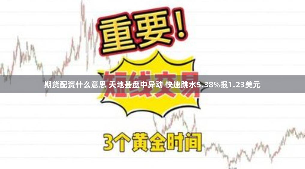 期货配资什么意思 天地荟盘中异动 快速跳水5.38%报1.23美元