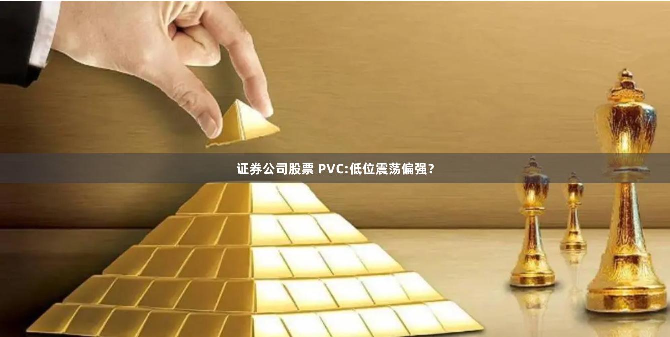 证券公司股票 PVC:低位震荡偏强？